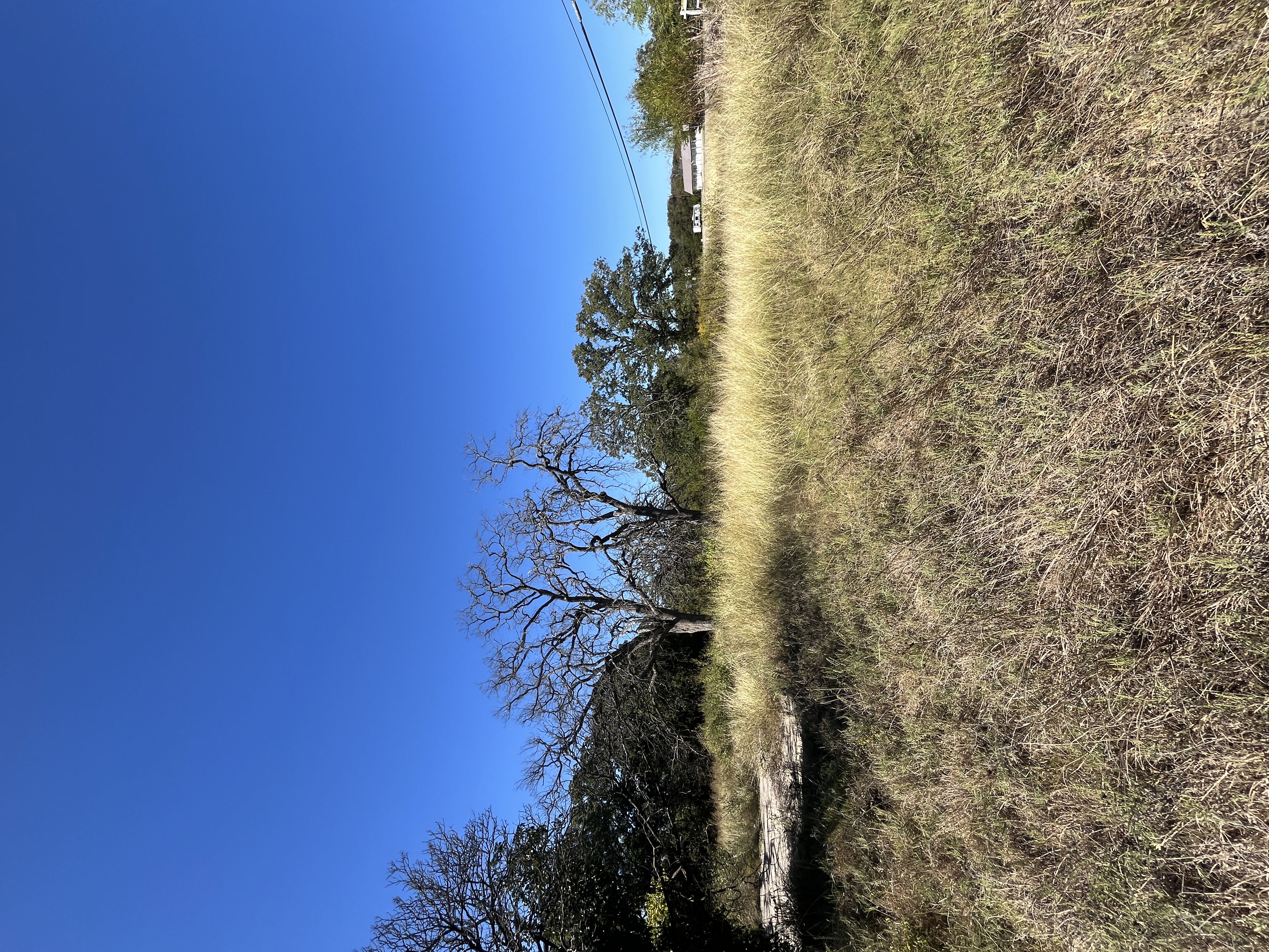 West Tawakoni, Texas, 75474, United States, ,Land,For Sale,1975357