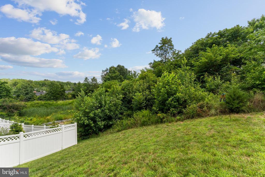 Fredericksburg, Virginia, 22401, United States, 4 Bedrooms Bedrooms, ,4 BathroomsBathrooms,Residential,For Sale,1827439