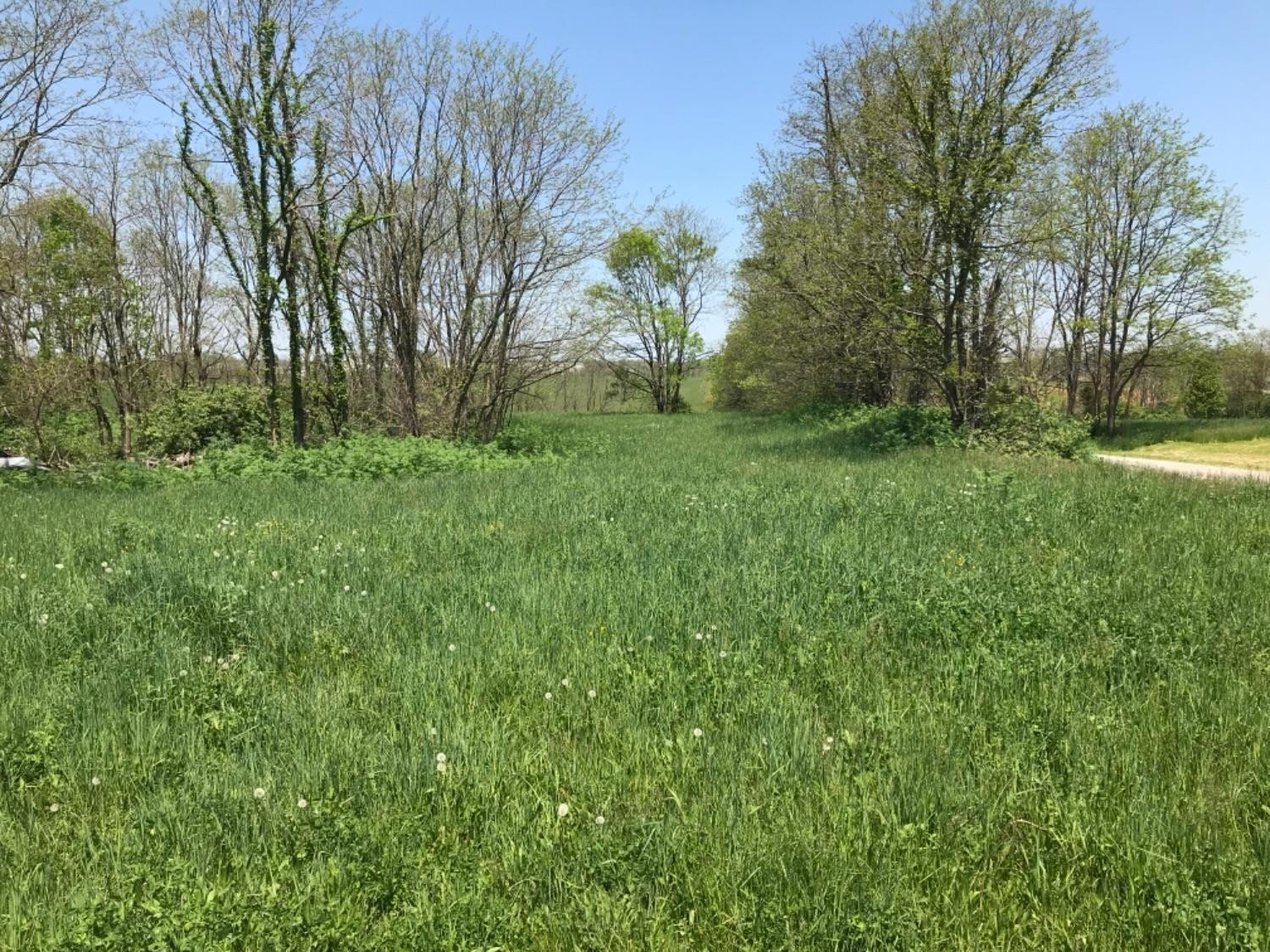 Georgetown, Kentucky, 40324, United States, ,Residential,For Sale,1721304