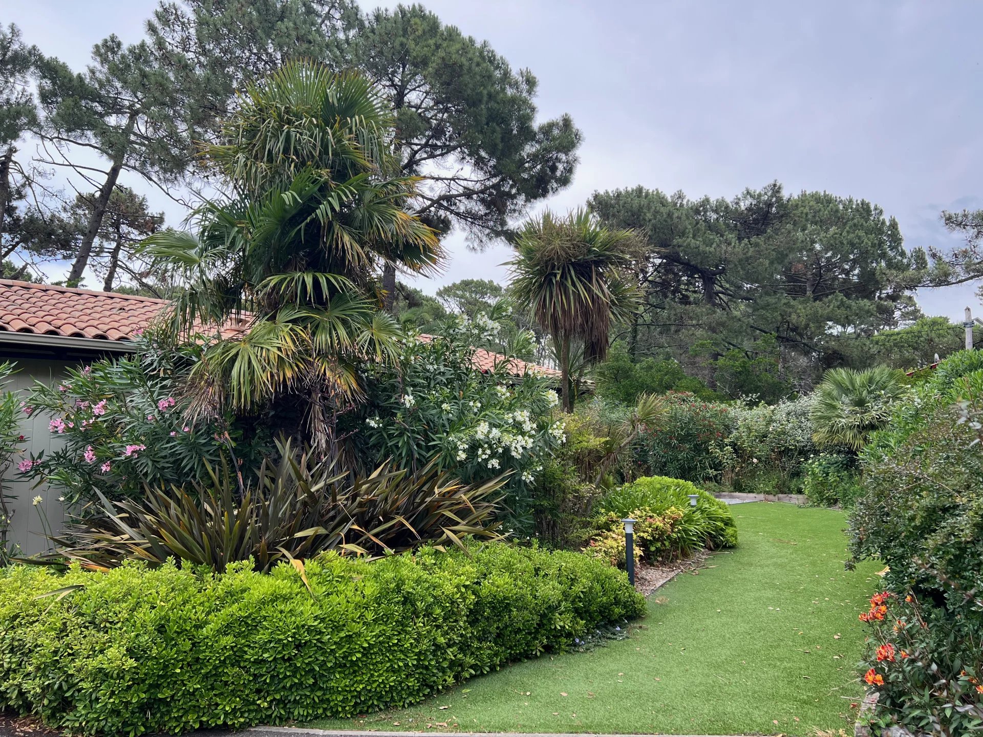 Cap-Ferret, New Aquitaine, 33950, FR, 2 Bedrooms Bedrooms, ,2 BathroomsBathrooms,Residential,For Sale,1283190