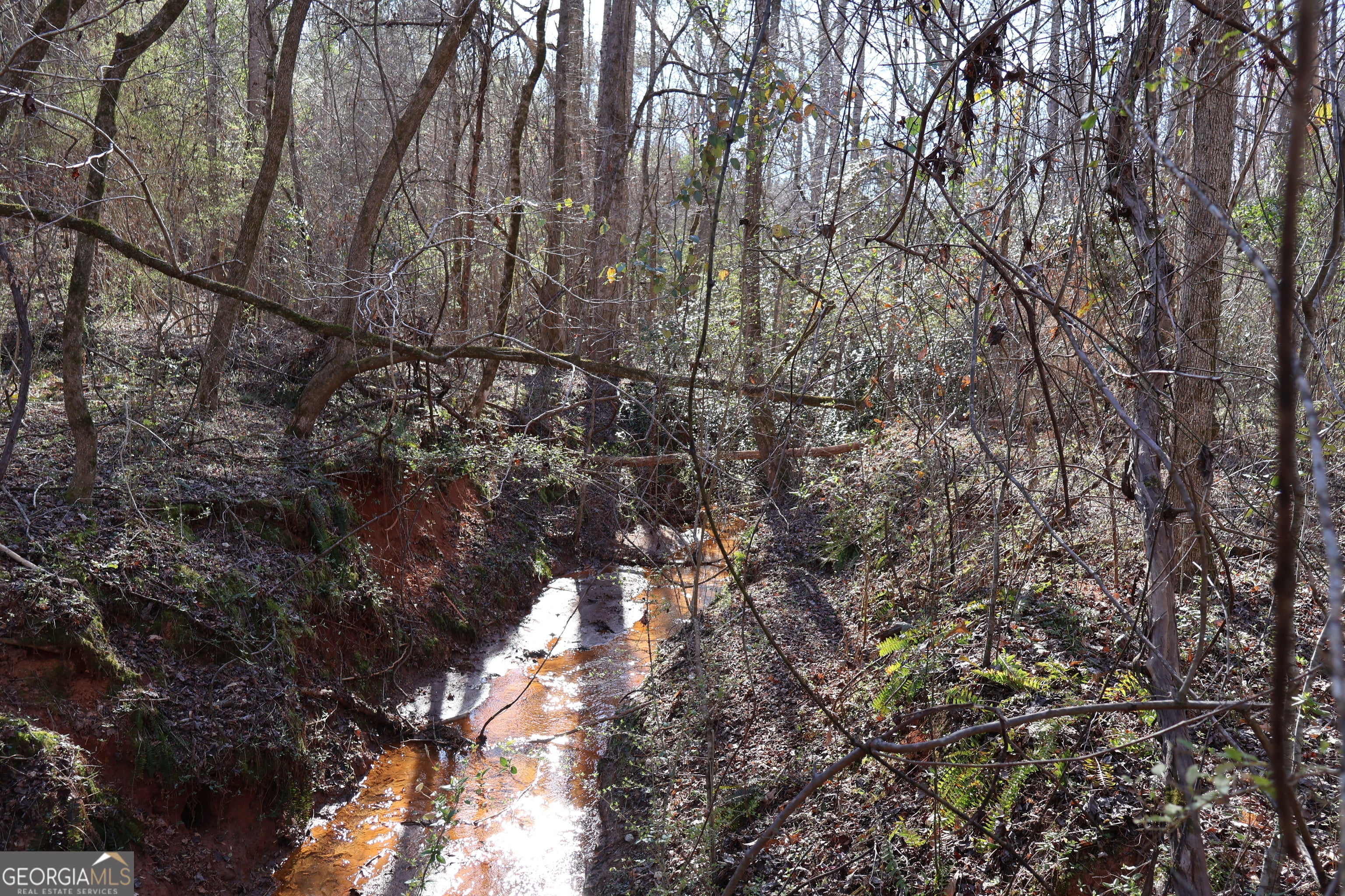 Forsyth, Georgia, 31029, United States, ,Land,For Sale,1858913