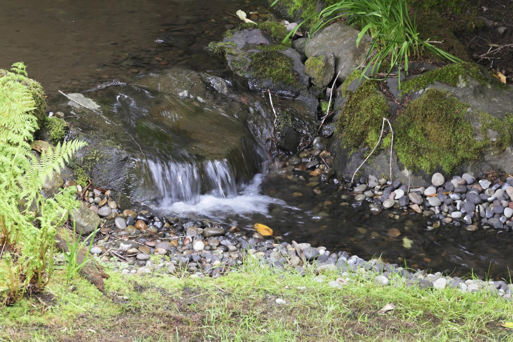  3531 NE 166th St, Lake Forest Park, WA 98155 - 物件實景