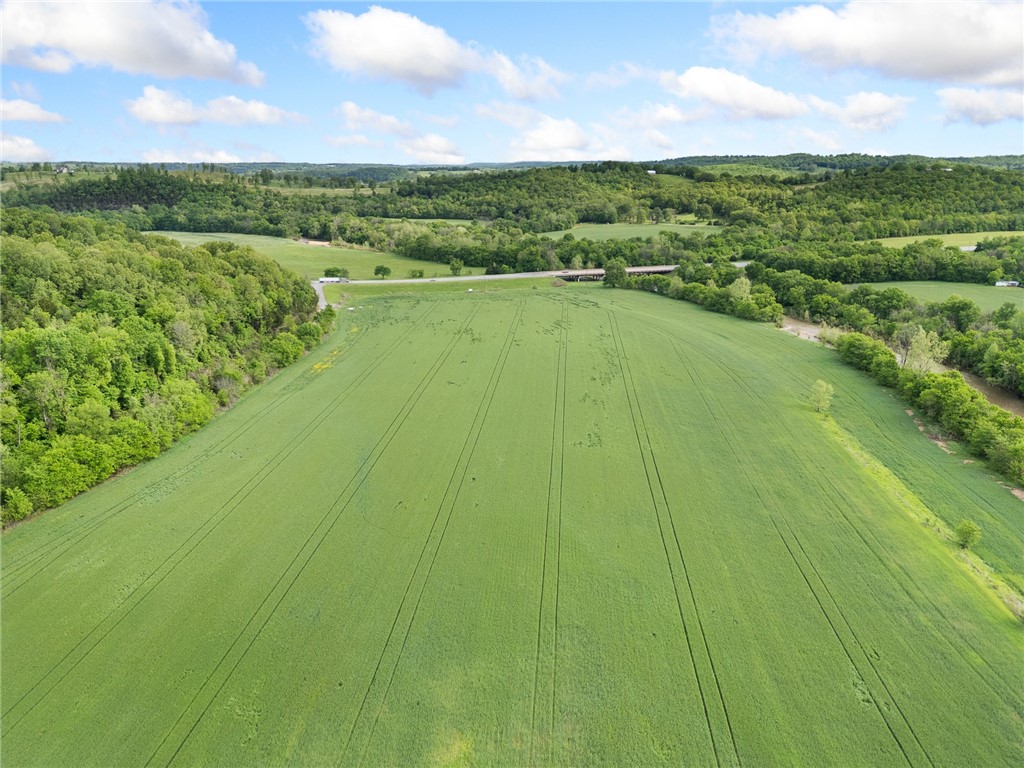 Alpena, Arkansas, 72611, United States, ,Land,For Sale,1903921