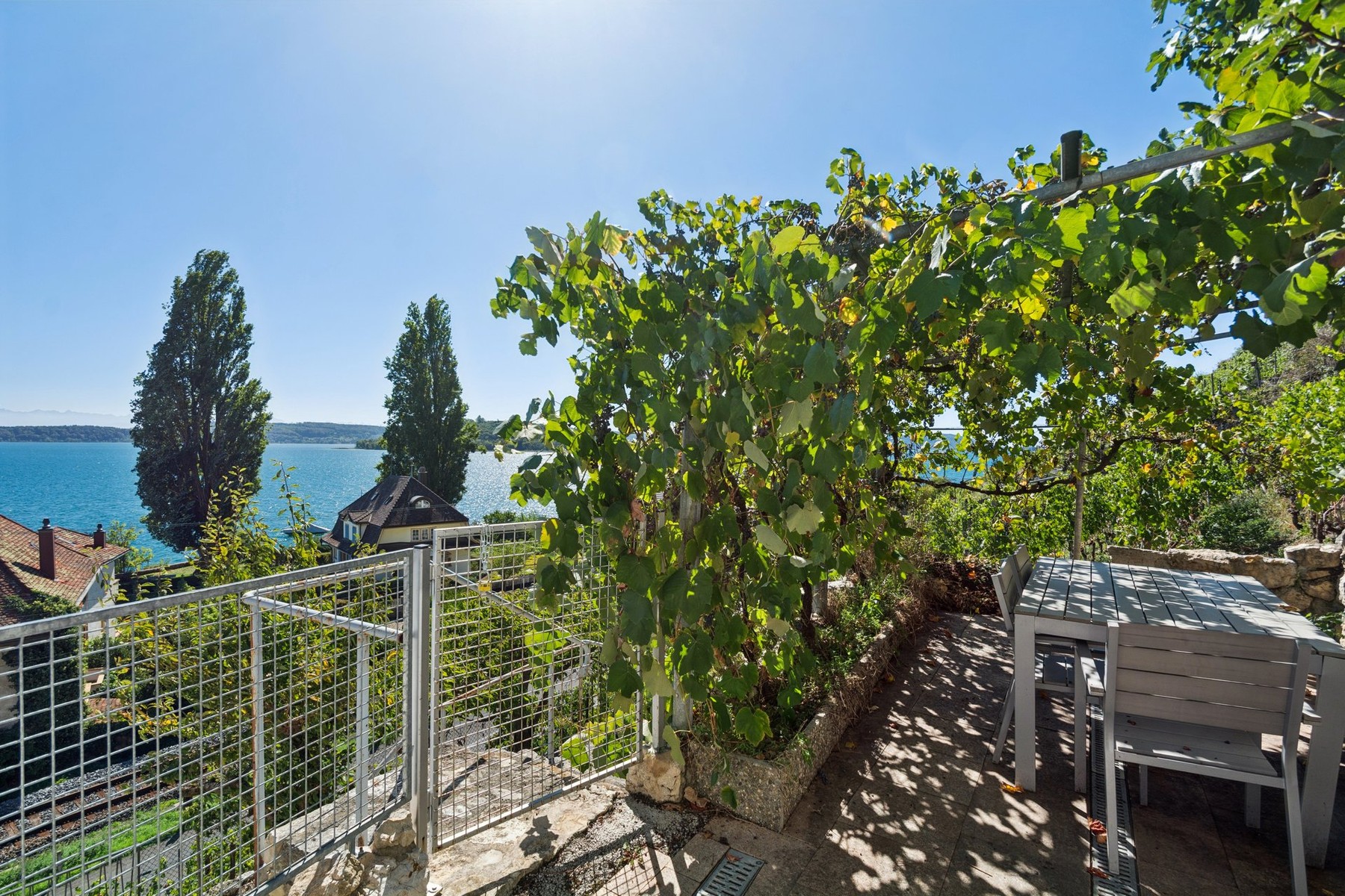  PURE VINES & THE HISTORY OF WINE-MAKING ON THE SHORES OF LAKE BIEL - 物件實景