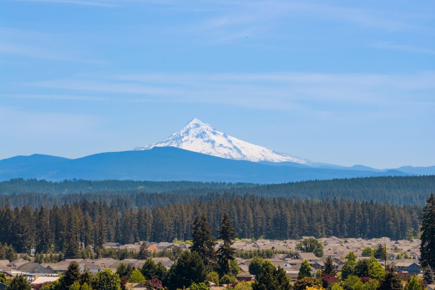  15111 NE 93RD ST Vancouver, WA 98682 - 物件實景