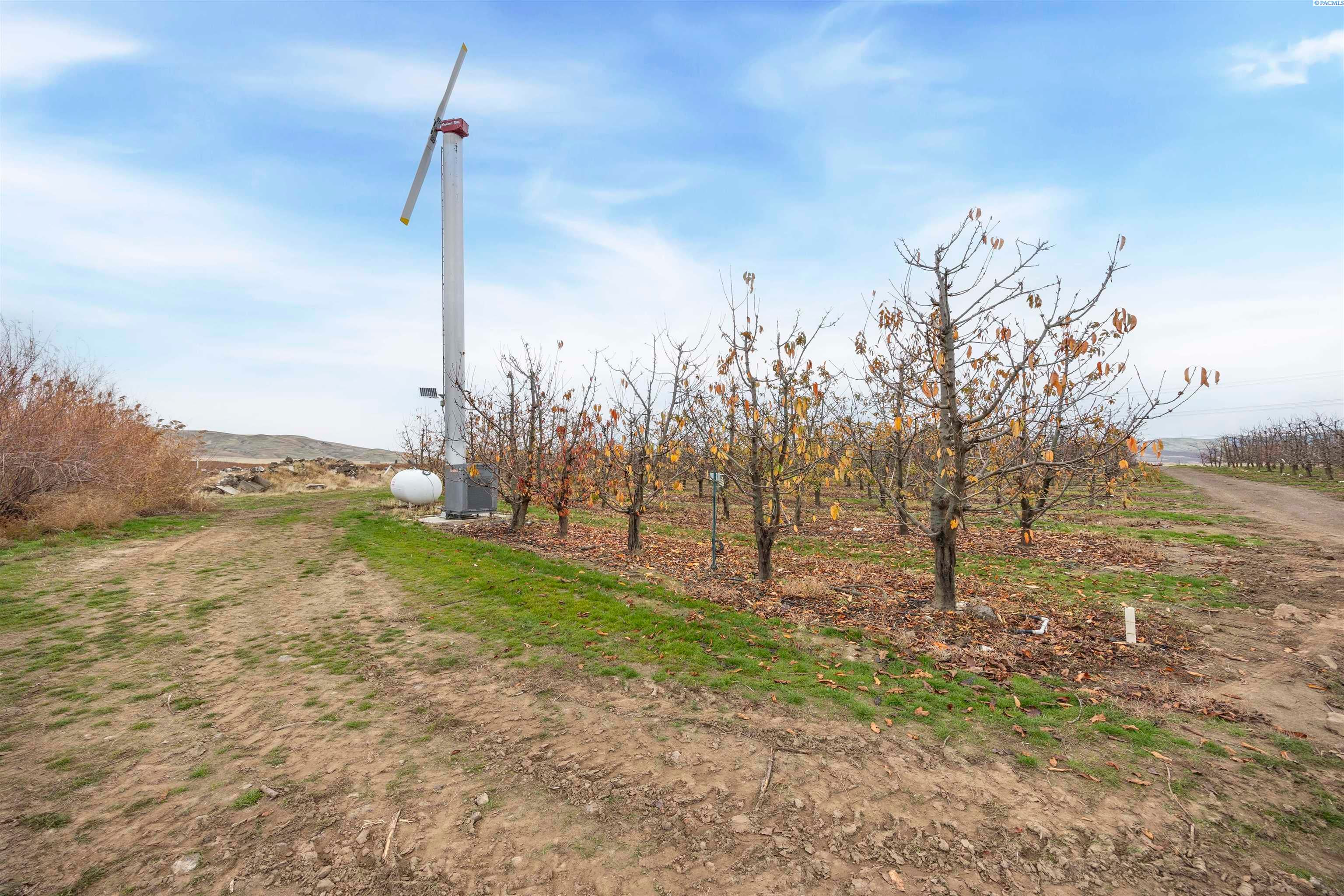 Benton City, Washington, 99320, United States, ,Residential,For Sale,1998066