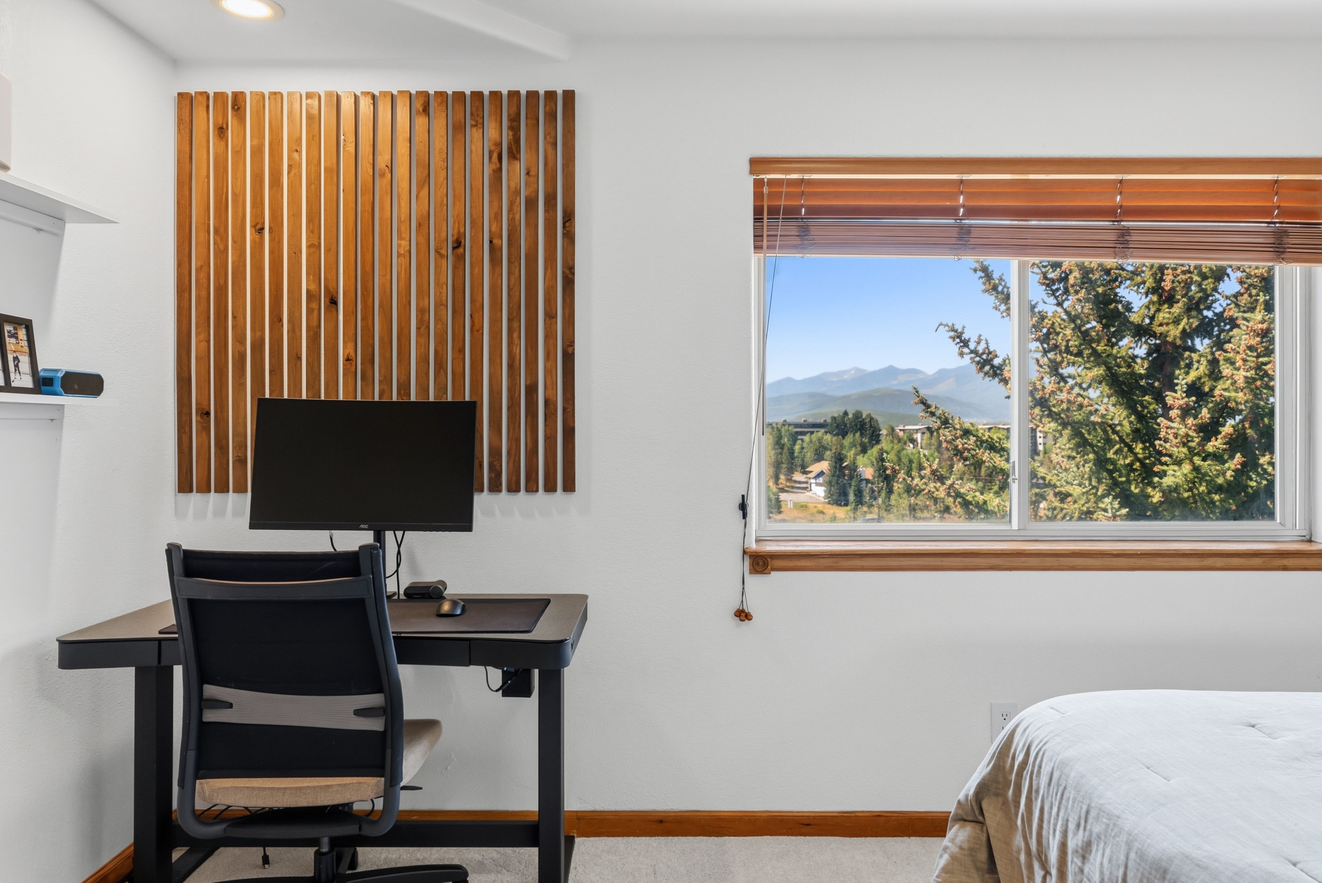  15 Lookout Ridge Drive, Dillon, CO, 80435 - 物件實景