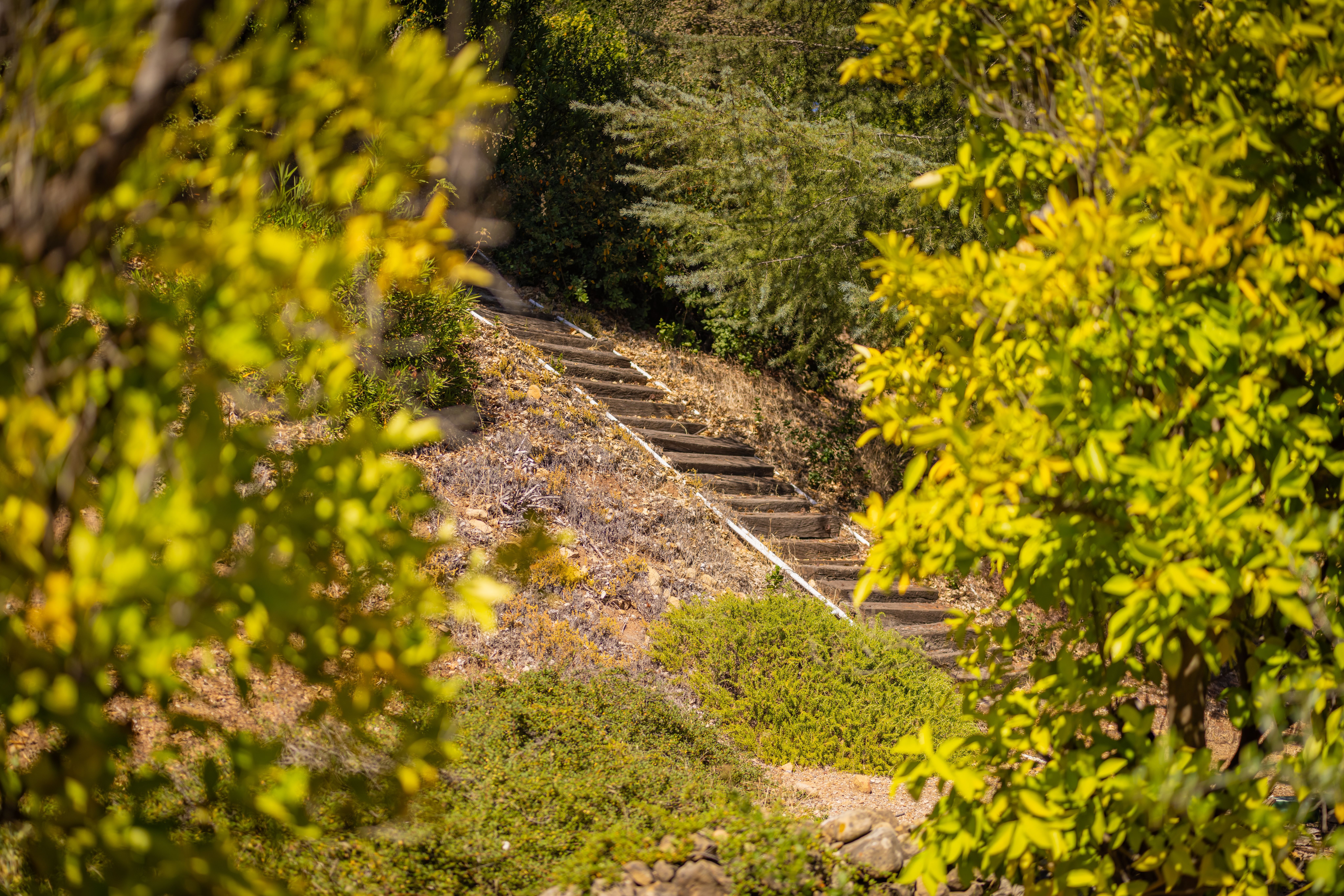  1008 Country Club Drive, Ojai, CA 93023 - 物件實景