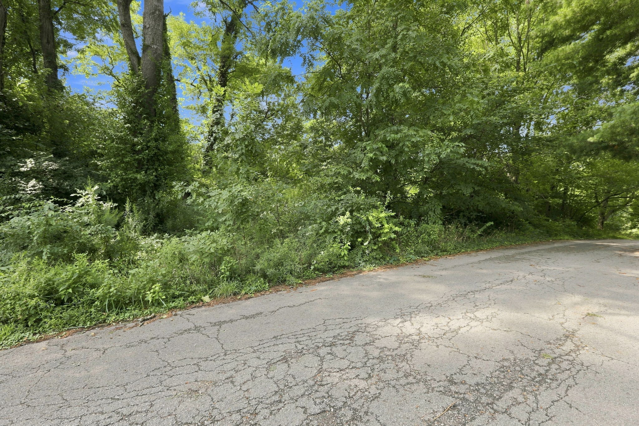  Beautiful Wooded .88 Acre Lot Ready for Your Vision - 物件實景