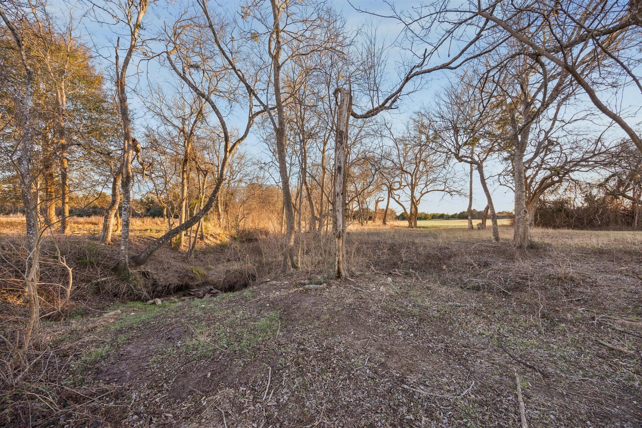  6389 Miller Road - 物件實景