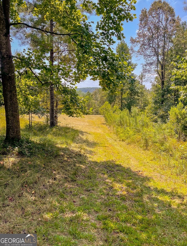 Bowman, Georgia, 30624, United States, ,Land,For Sale,1988197
