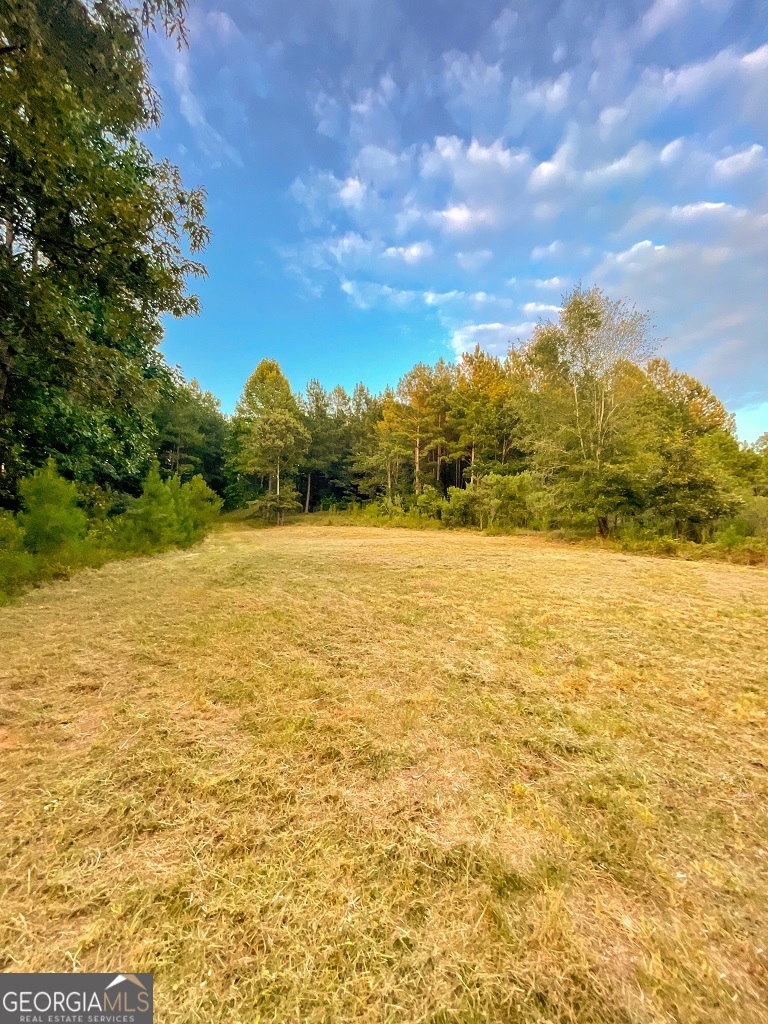 Bowman, Georgia, 30624, United States, ,Land,For Sale,1988197