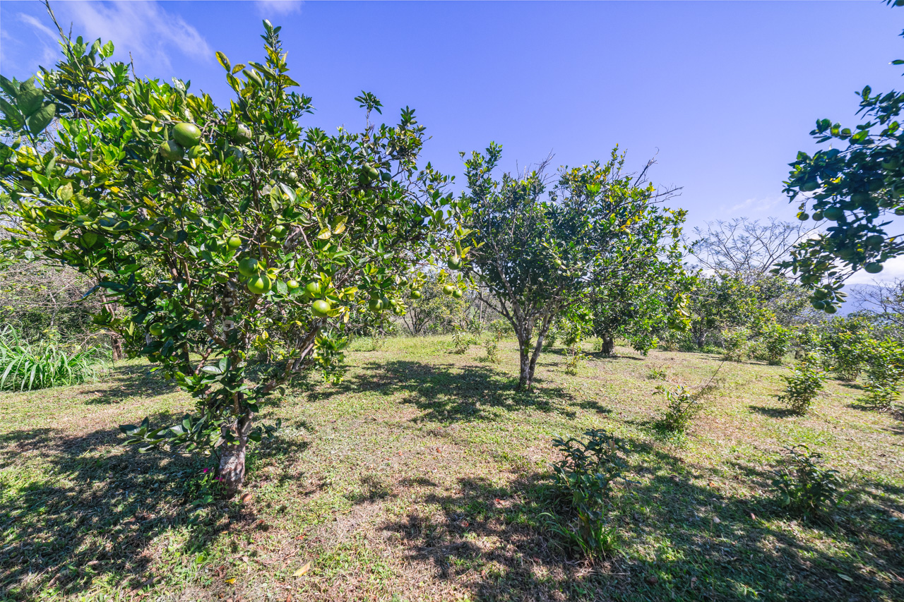 El Socorro, Hojancha, Hojancha, Guanacaste, CR, 4 Bedrooms Bedrooms, ,2 BathroomsBathrooms,Land,For Sale,El Socorro, Hojancha,1675175