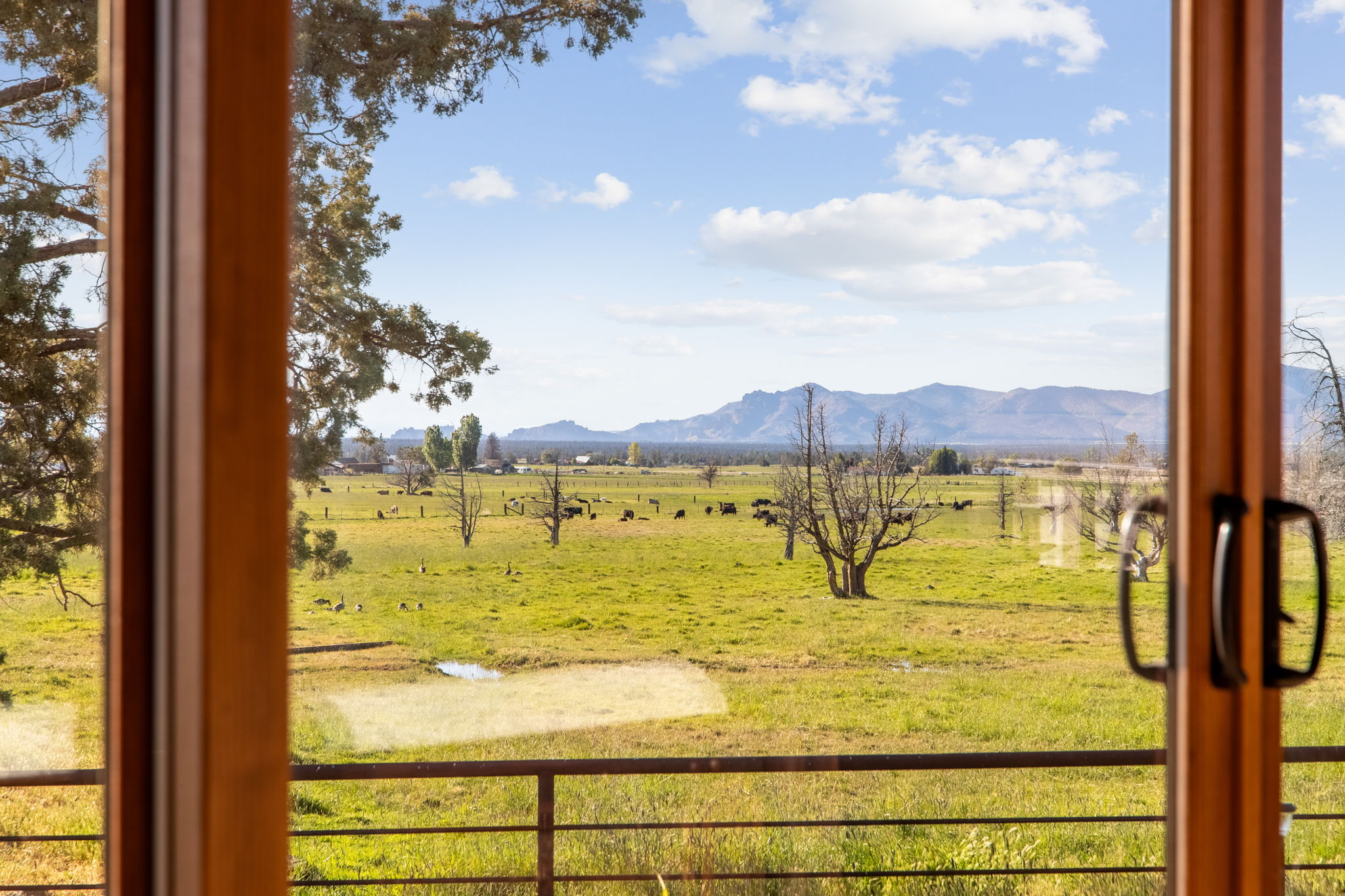 13501 SW Riggs Rd., Powell Butte, Oregon, 97753, United States, 3 Bedrooms Bedrooms, ,4 BathroomsBathrooms,Farm And Agriculture,For Sale,13501 SW Riggs Rd.,1623020
