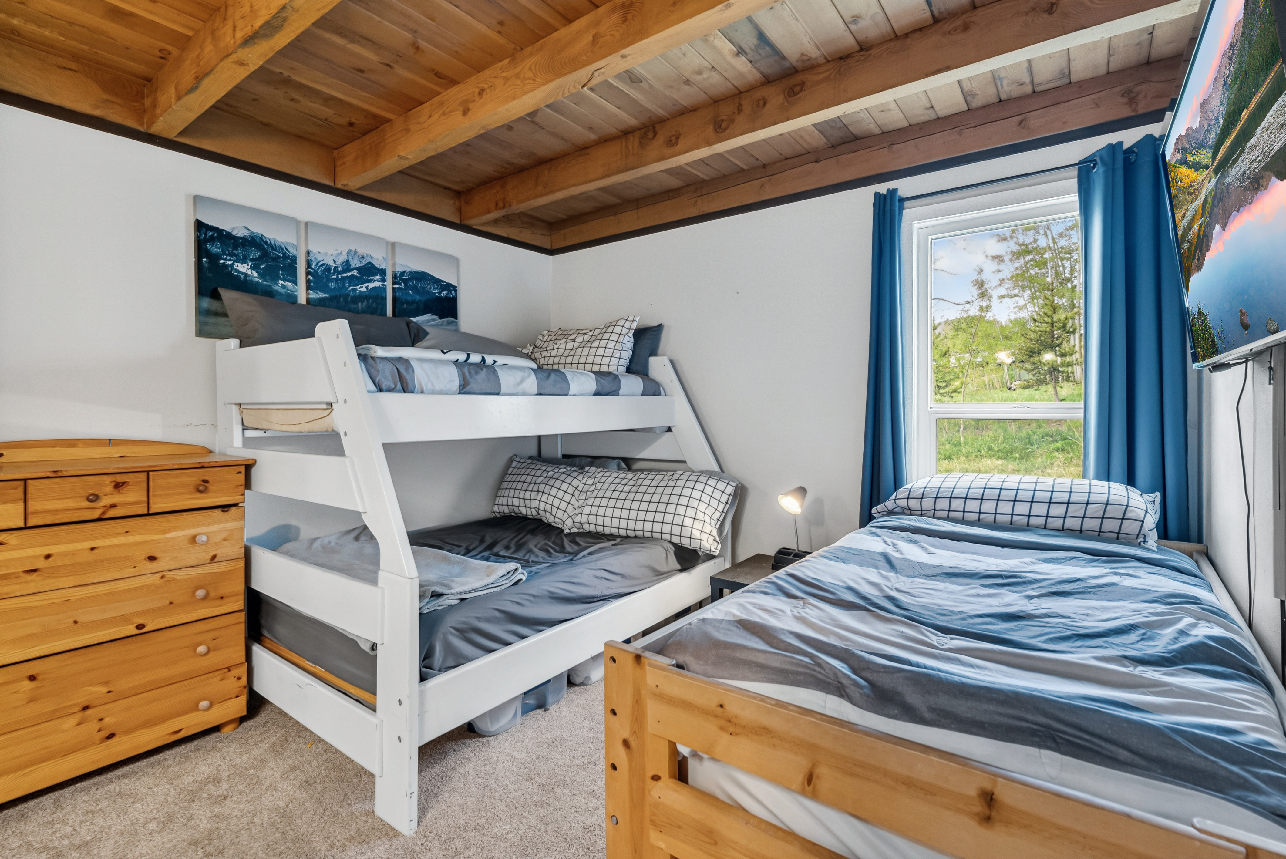  8100 Ryan Gulch Road, Wildernest, CO, 80498 - 物件實景
