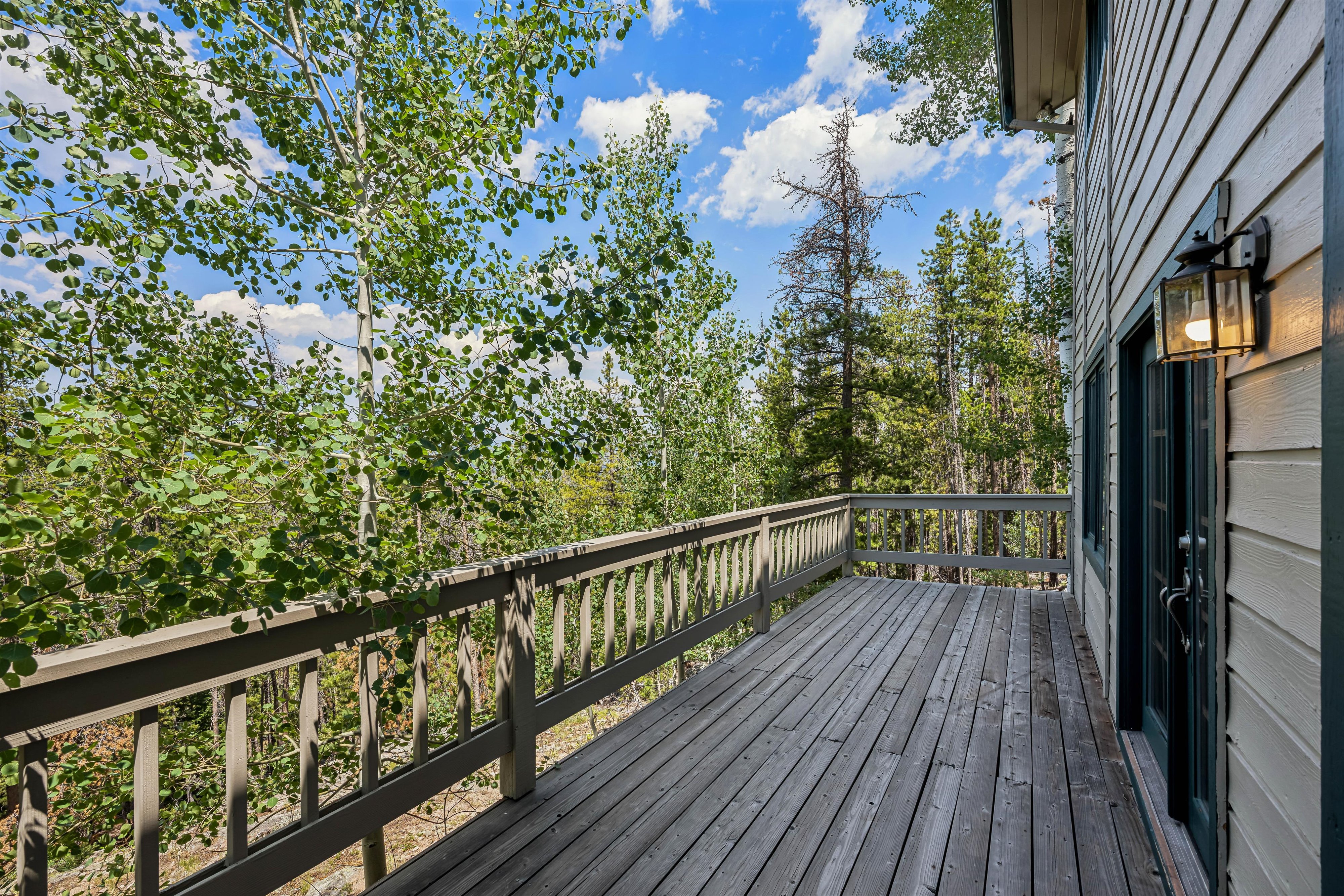  Colorado Mountain Living on 5.29 Wood/Sloping Acres - 物件實景
