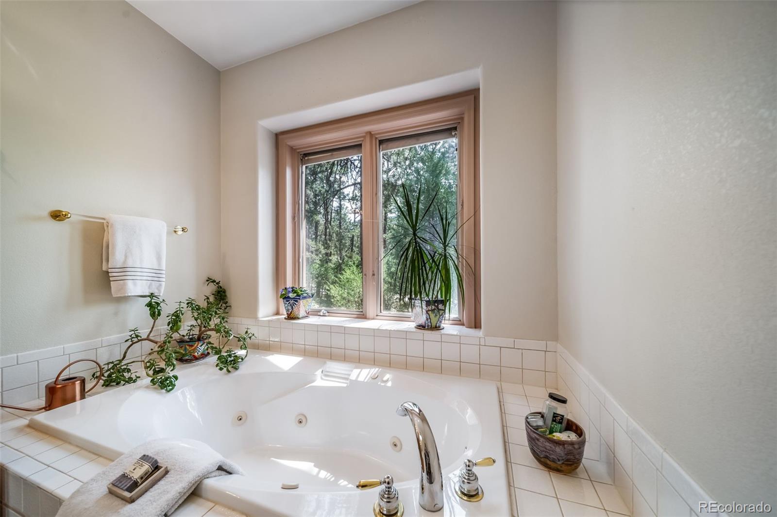 Larkspur, Colorado, 80118, United States, 2 Bedrooms Bedrooms, ,2 BathroomsBathrooms,Residential,For Sale,1924756