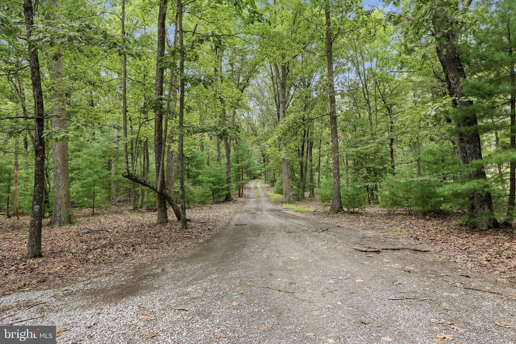 Oak Dale Ct, Capon Bridge, WV 26711 #1