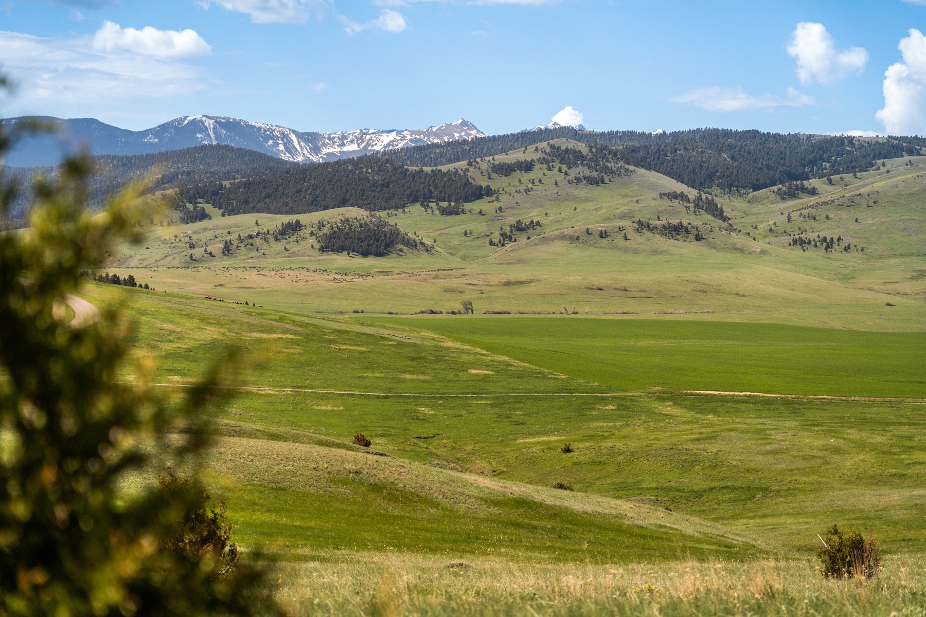  TBD Montana Ranch Tr - 物件實景