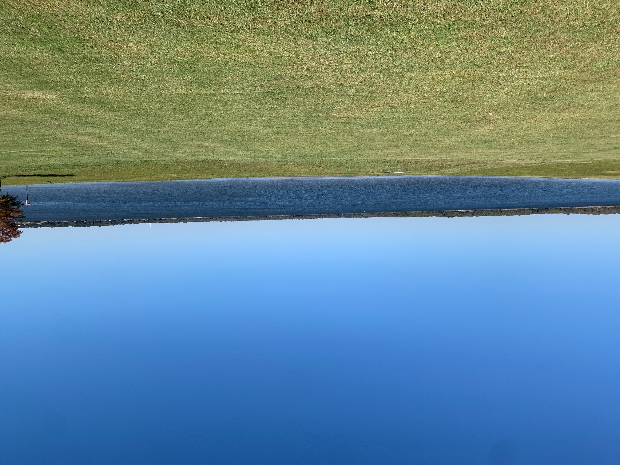 Emory, Texas, 75440, United States, ,Land,For Sale,1982533