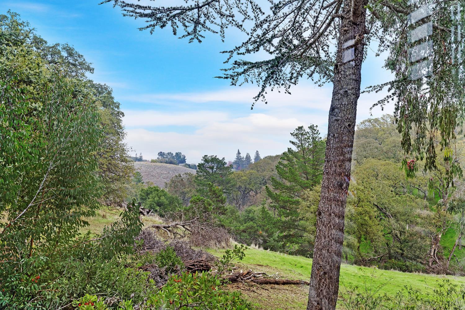 Pleasant Hill, California, 94523, United States, 3 Bedrooms Bedrooms, ,2 BathroomsBathrooms,Residential,For Sale,2003334