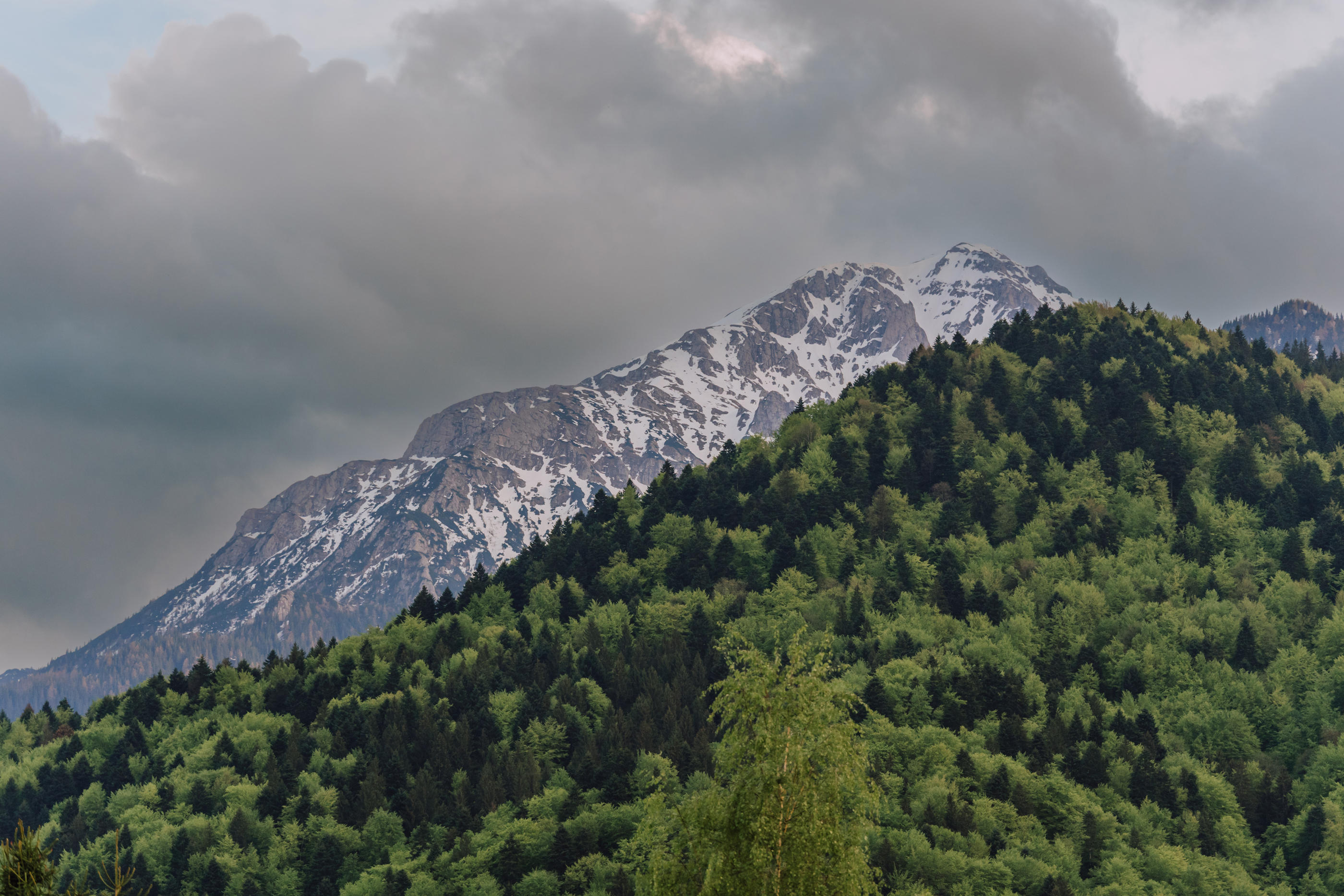  Skyline Chalet, the Cabin Between Forest and Mountains, Braov - 物件實景