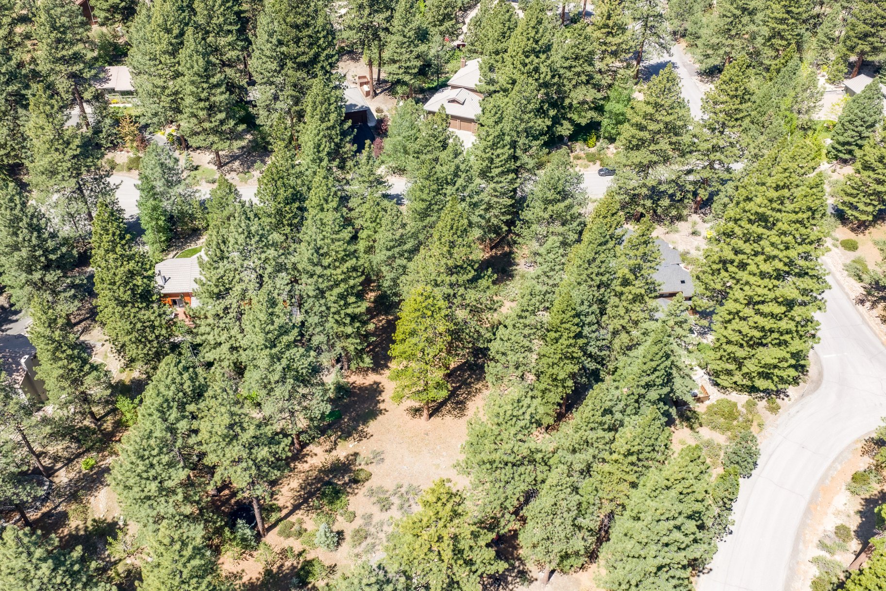  Private Galena Forest Parcel Near Mt. Rose with Pines & Tahoe Access - 物件實景