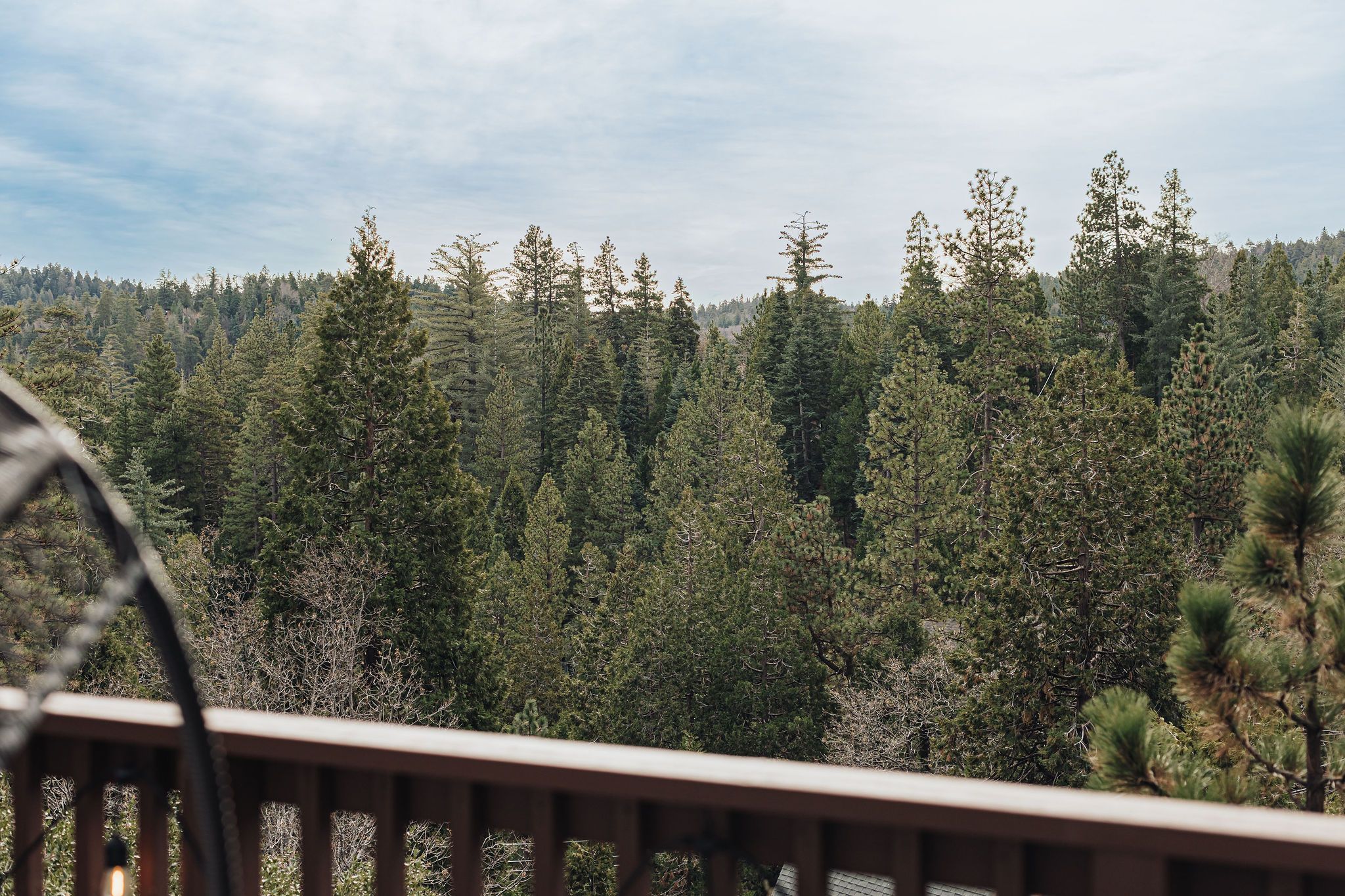  217 Old Toll Road, Lake Arrowhead, CA 92352 - 物件實景