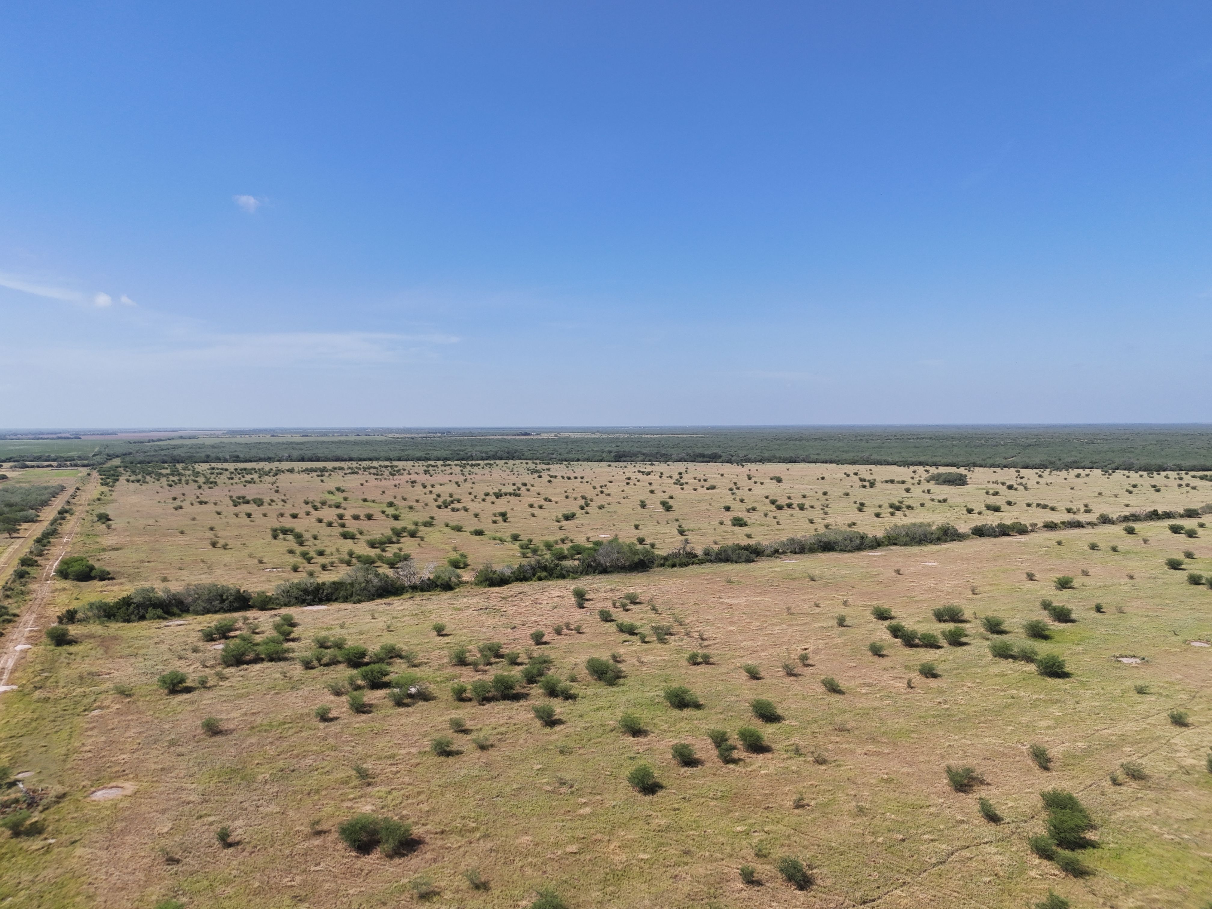  976+/- Acres - San Andreas Creek Ranch - 物件實景