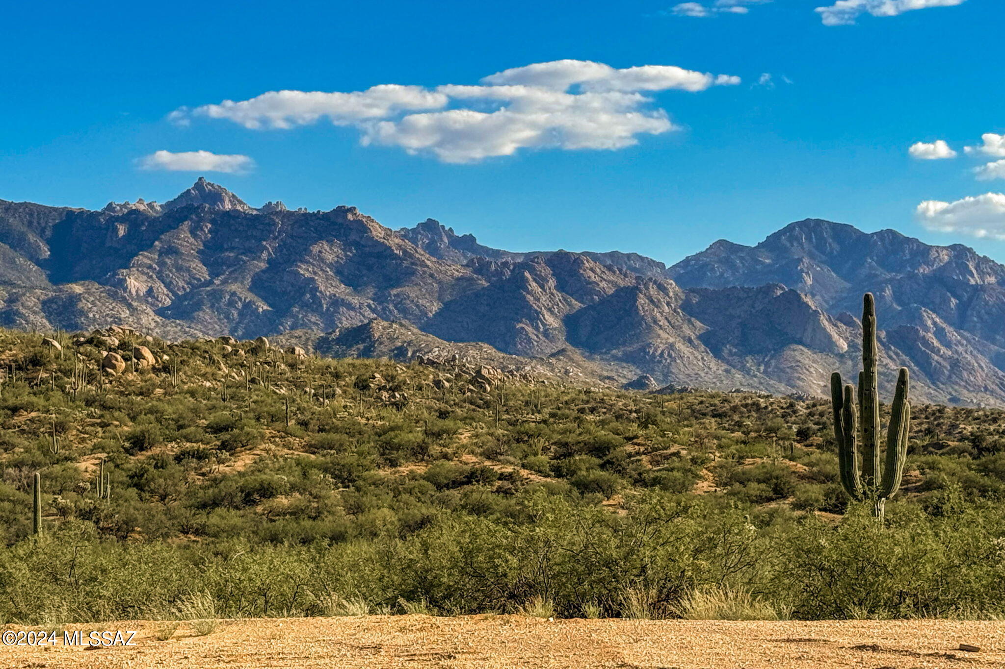 Tucson, Arizona, 85739, United States, ,Land,For Sale,1744993