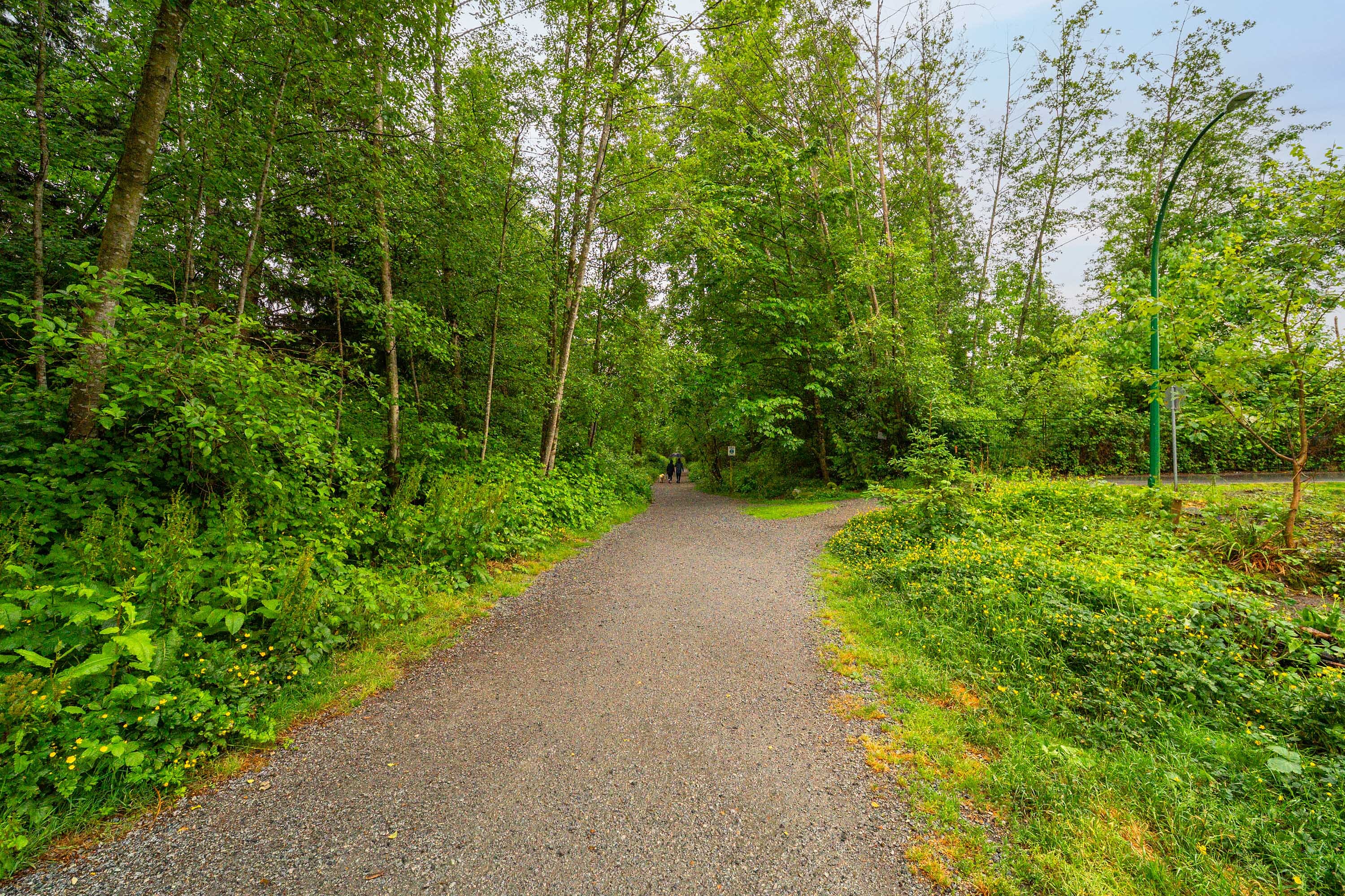  Peaceful North Shore Living - 物件實景