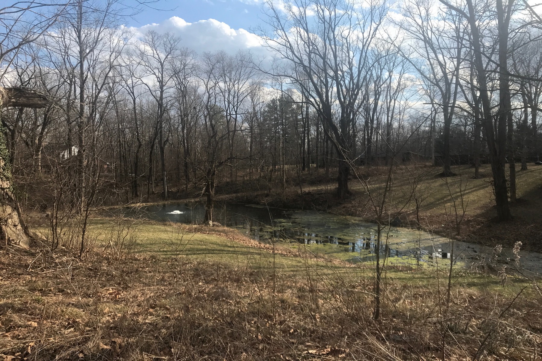  Beautiful Wooded .88 Acre Lot Ready for Your Vision - 物件實景