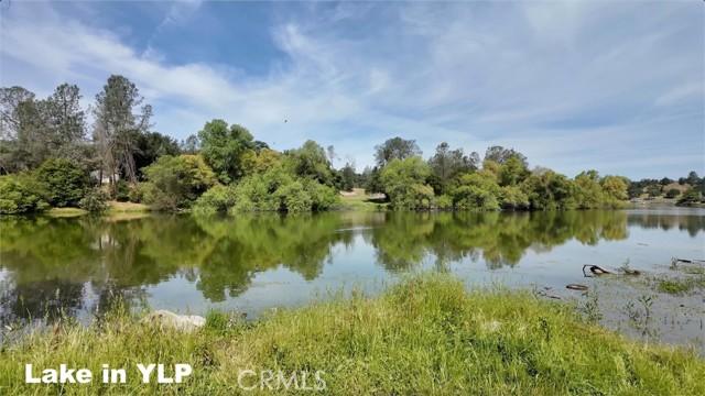 Coarsegold, California, 93614, United States, 4 Bedrooms Bedrooms, ,3 BathroomsBathrooms,Residential,For Sale,1915095