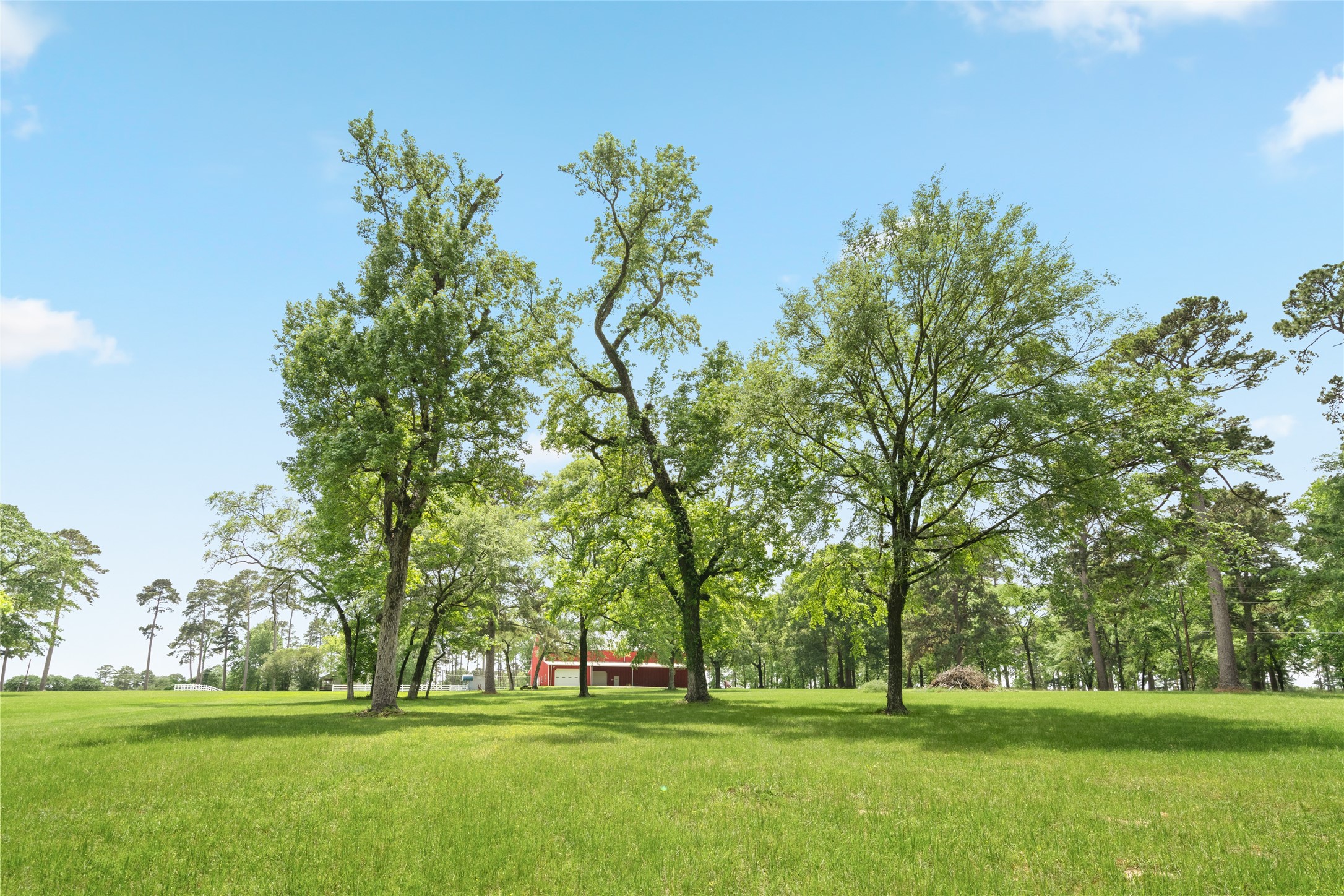  15126 Walden Road - 物件實景