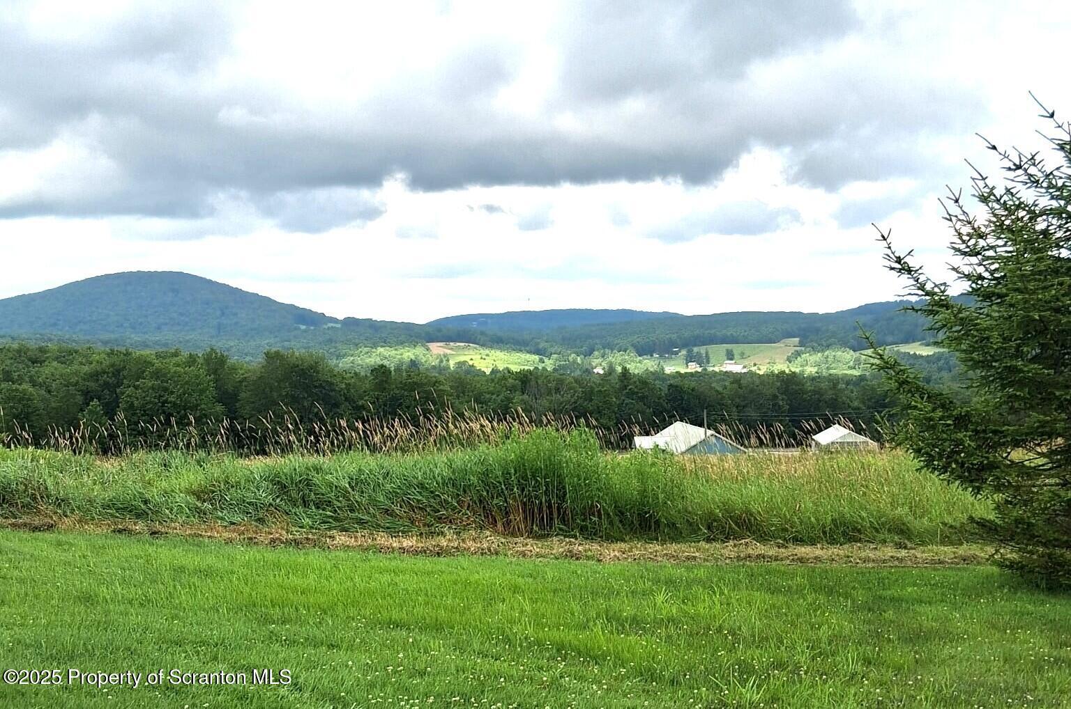 Union Dale, Pennsylvania, 18470, United States, ,Land,For Sale,1975755