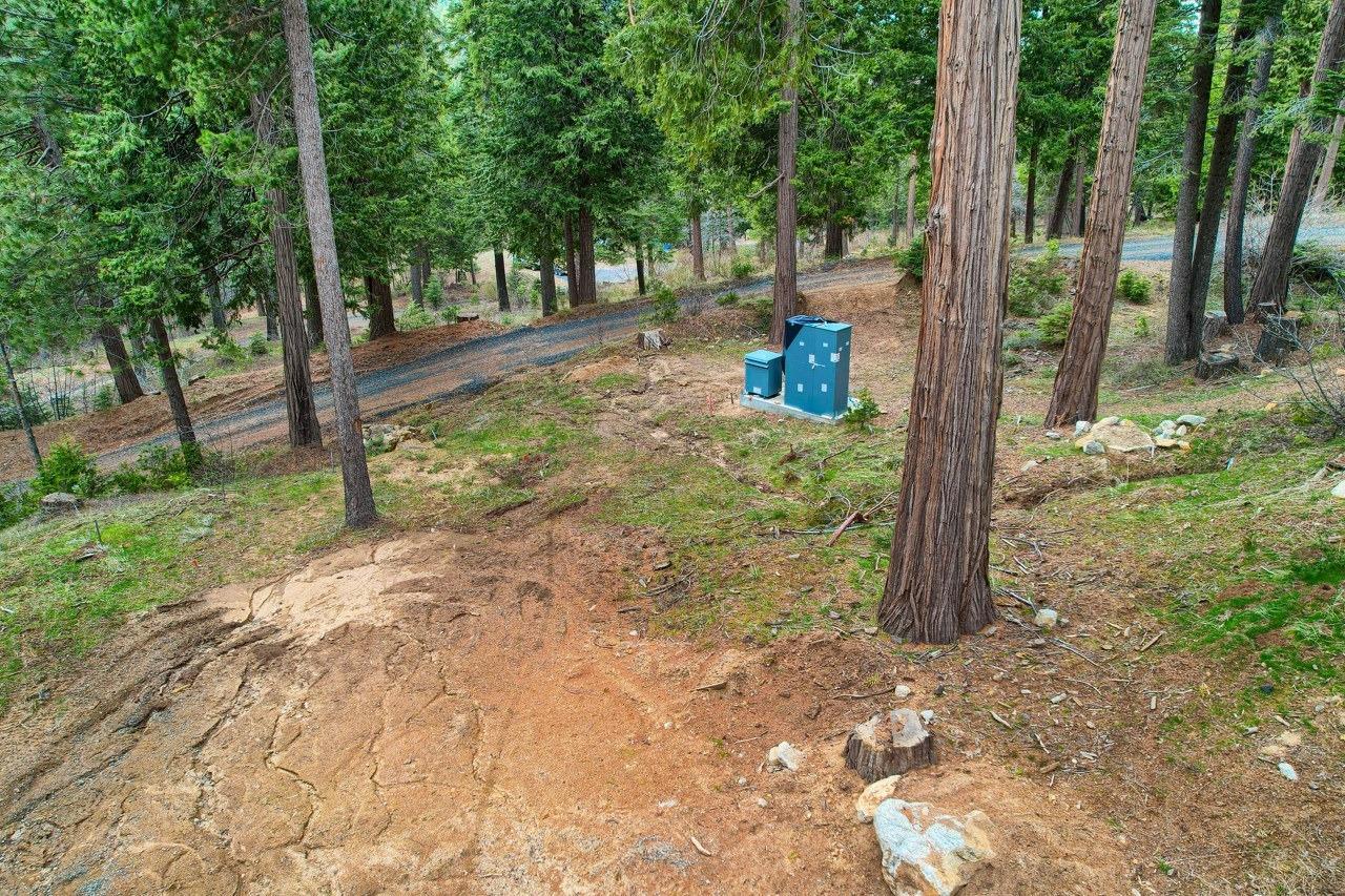 Yosemite, California, 95389, United States, ,Residential,For Sale,1791701