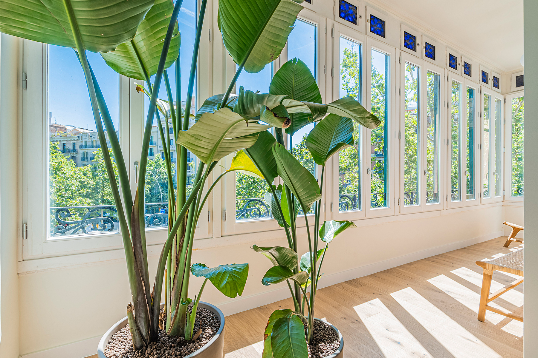  Elegant renovated residence in a majestic Eixample building - 物件實景
