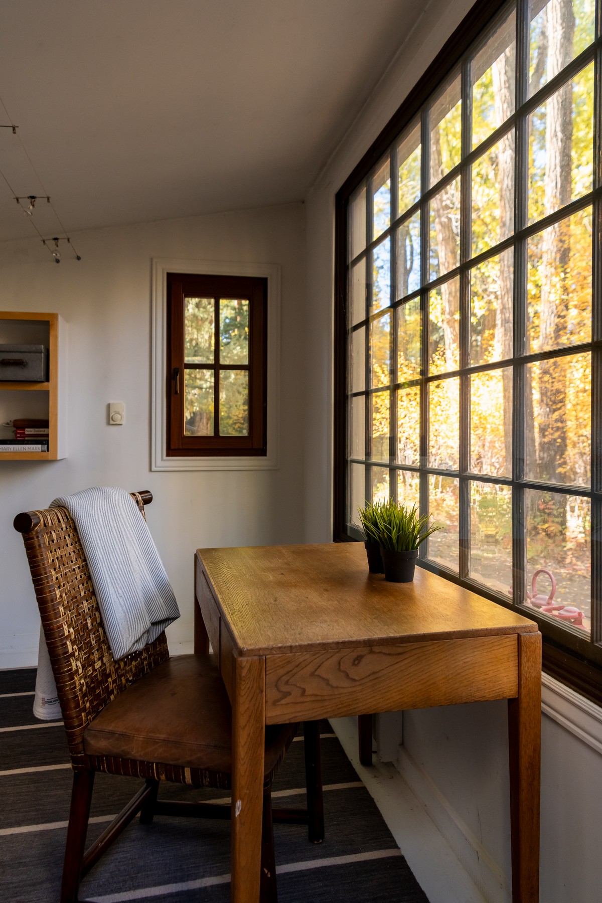  256 Twining Flats Road, Aspen, CO, 81611 - 物件實景