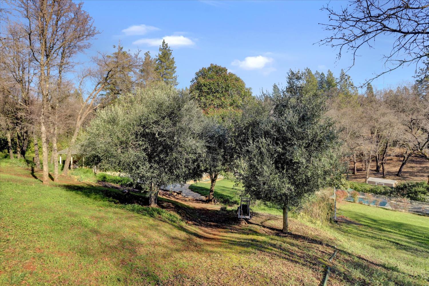 Grass Valley, California, 95949, United States, 4 Bedrooms Bedrooms, ,3 BathroomsBathrooms,Residential,For Sale,2015333