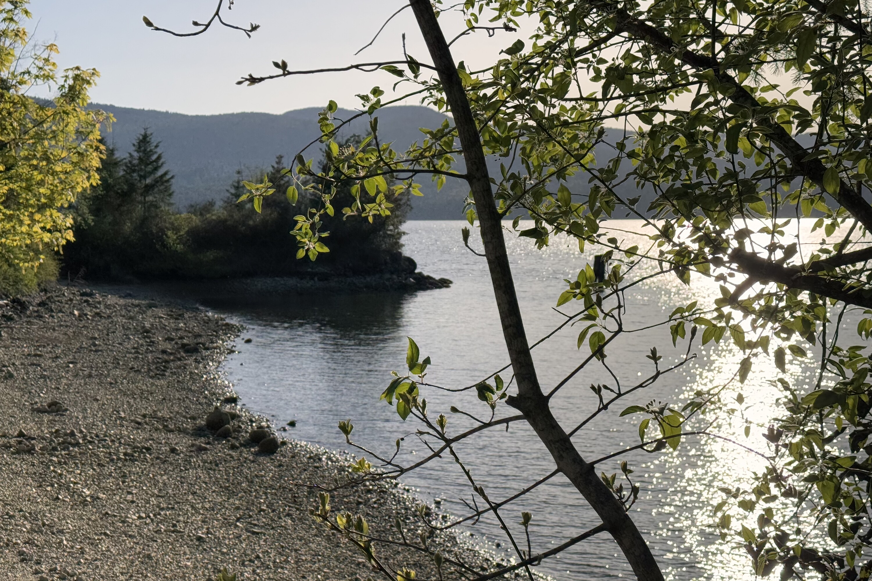  Sechelt, Sunshine Coast - 物件實景