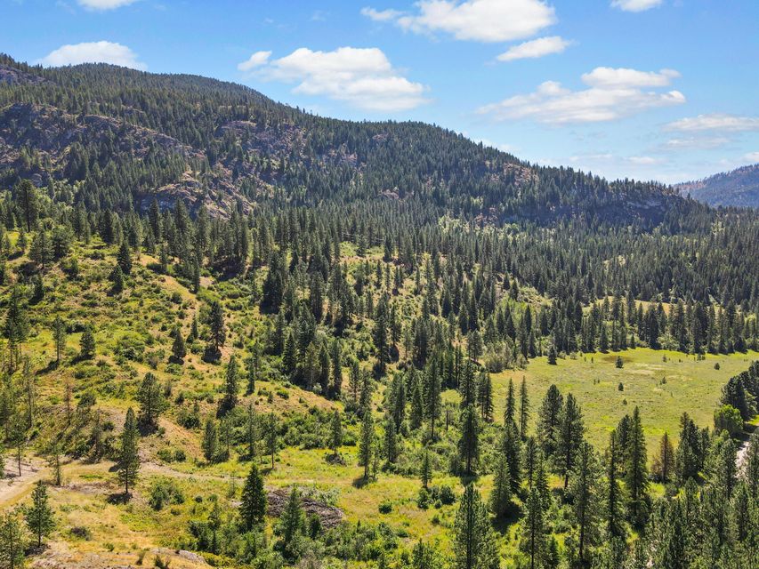 Northport, Washington, 99157, United States, ,Land,For Sale,1982244