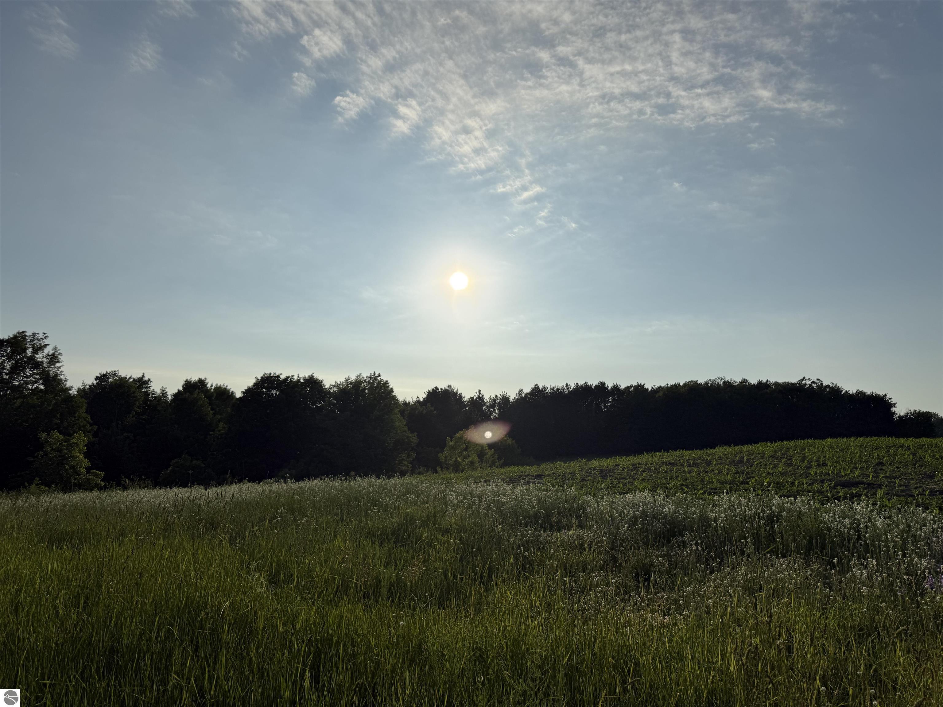 Beulah, Michigan, 49617, United States, ,Land,For Sale,1938552
