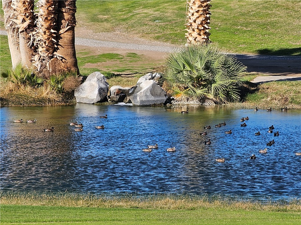 Lake Havasu, Arizona, 86403, United States, 2 Bedrooms Bedrooms, ,2 BathroomsBathrooms,Residential,For Sale,2002226