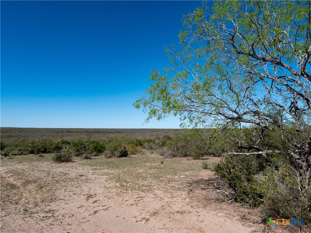 George West, Texas, 78022, United States, ,Land,For Sale,1738703