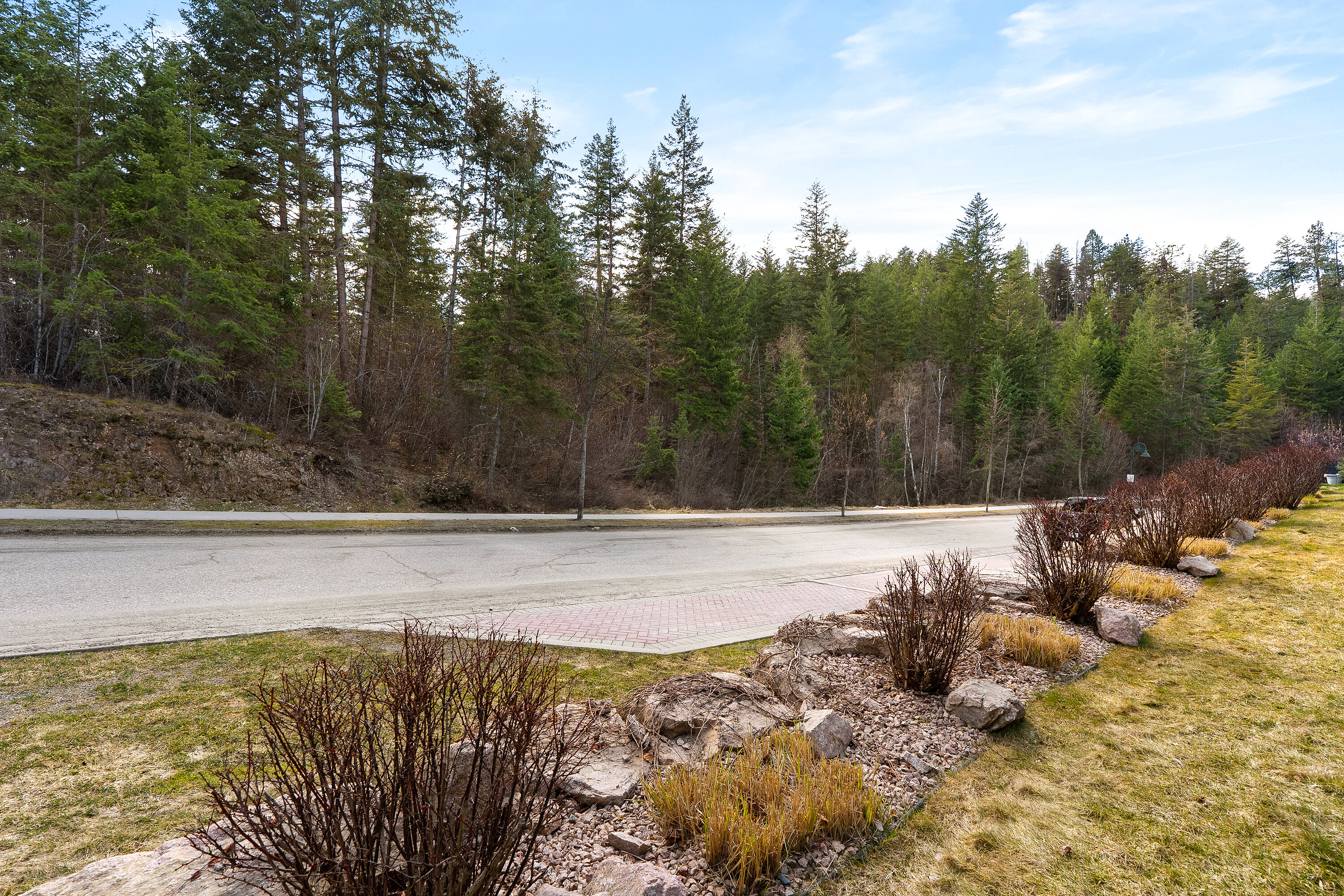  Meticulous Predator Ridge Home - 物件實景