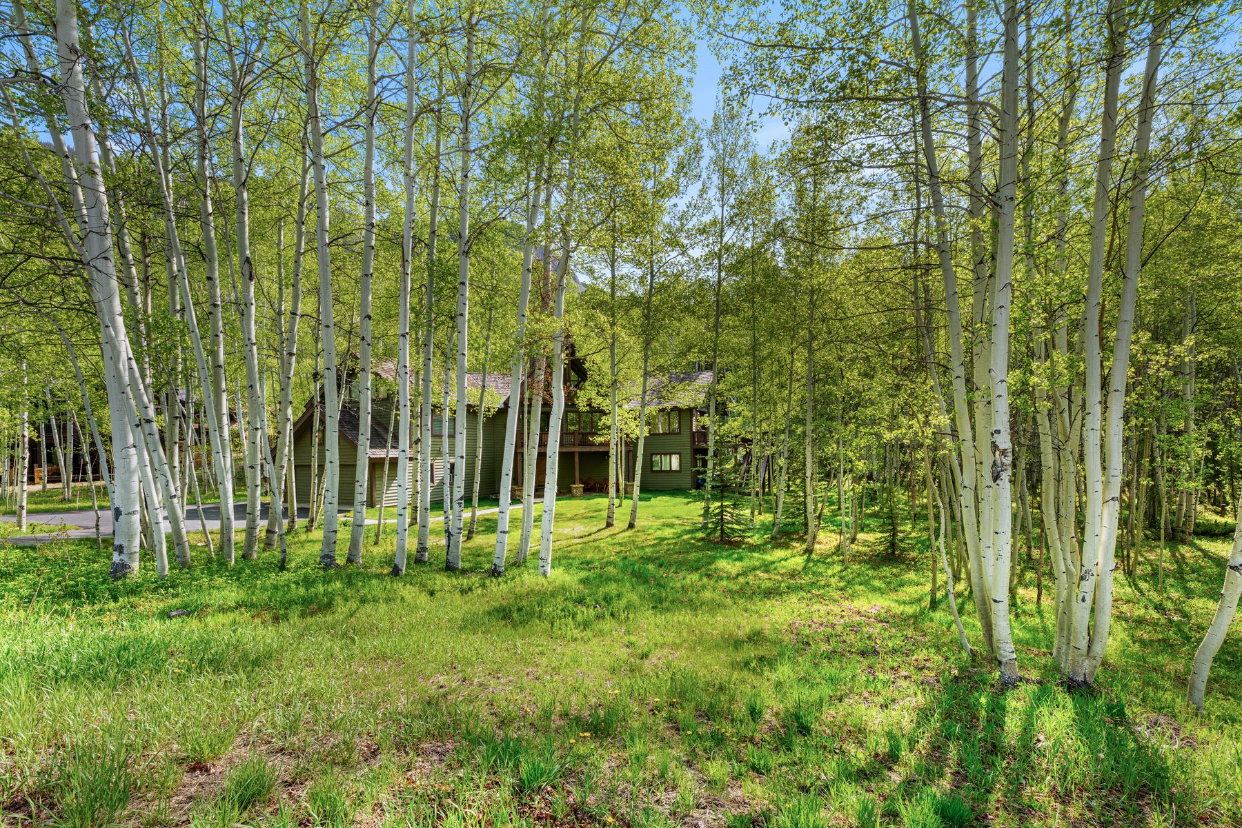  A Private Mountain Sanctuary Just Minutes from Crested Butte - 物件實景