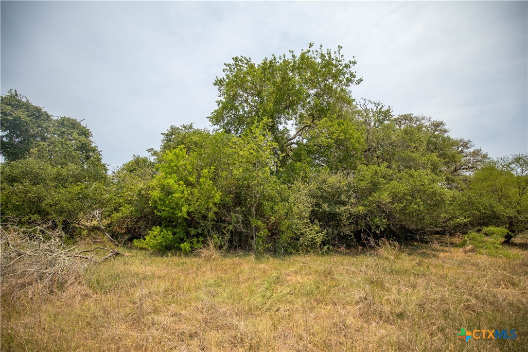 Cuero, Texas, 77954, United States, ,Residential,For Sale,1950887