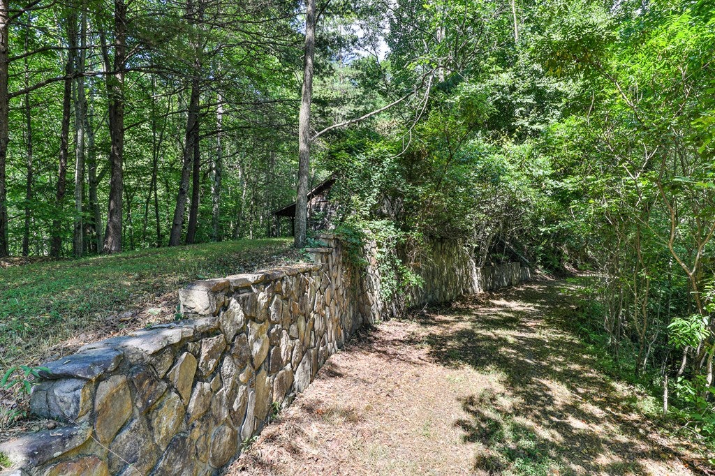 Cherry Log, Georgia, 30522, United States, ,Land,For Sale,1858995