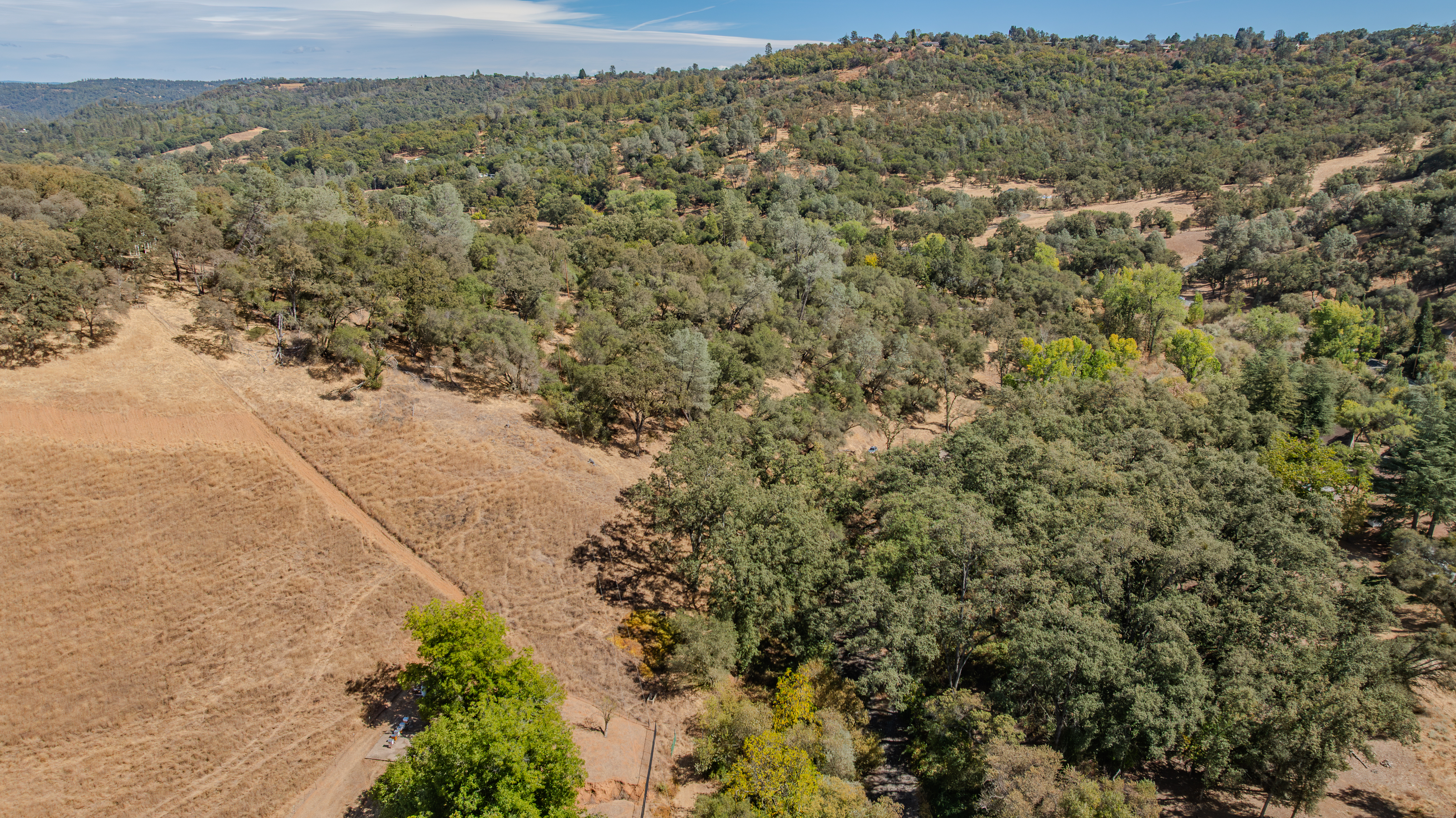  Creek Frontage - Views - Stroll to Downtown Sutter Creek - 物件實景