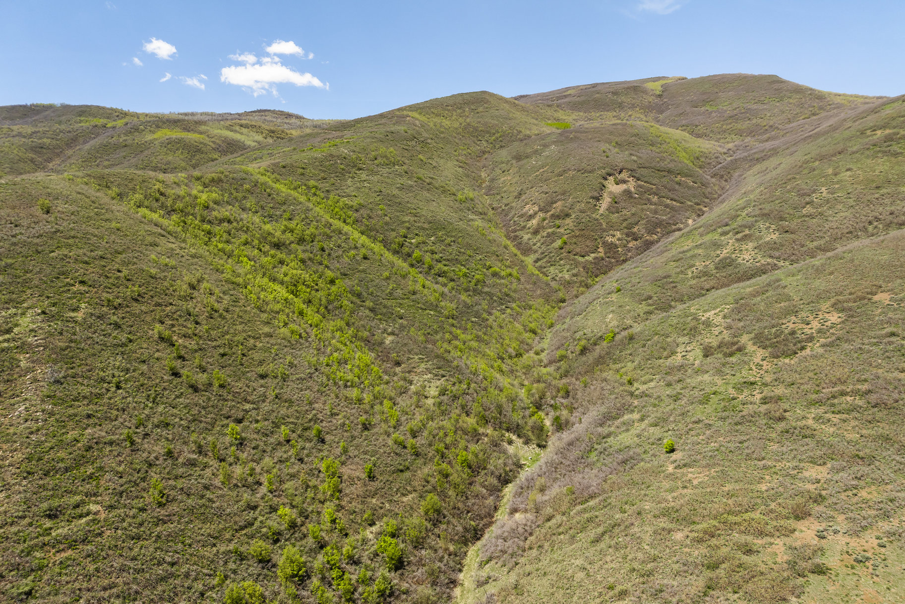  34 Acre Estate Lot In The Highlands - 物件實景